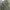 Resized_20190131_091034 (1)