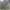 Resized_20190131_093332 (1)